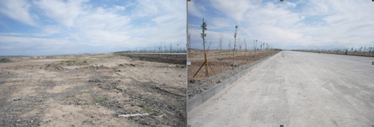 20120808110127_5937.jpg