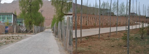 20120525101239_8593.jpg