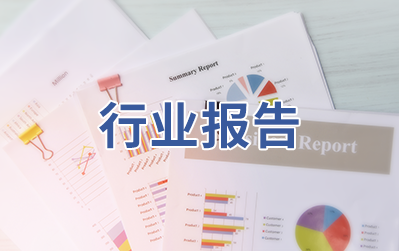 行业报告